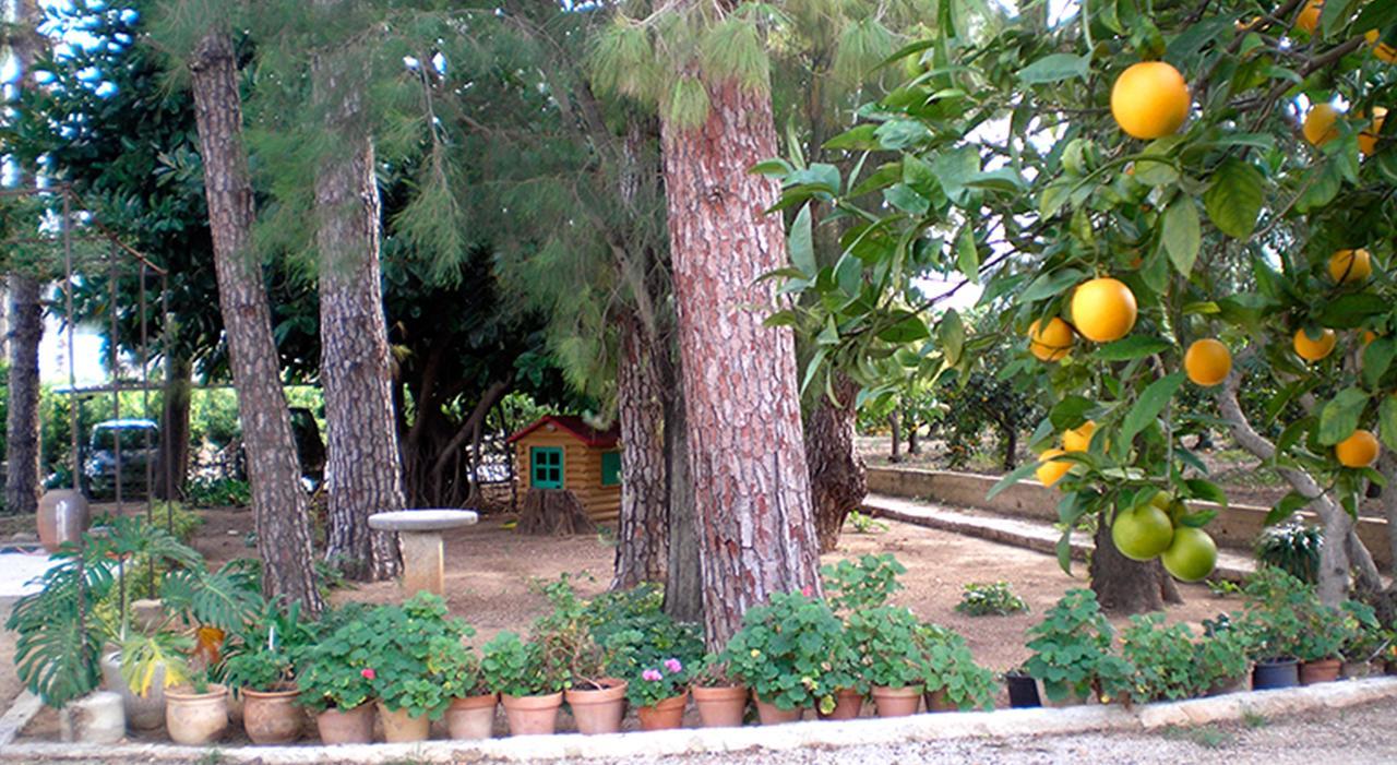 El Sequer Casa Rural Oliva Buitenkant foto